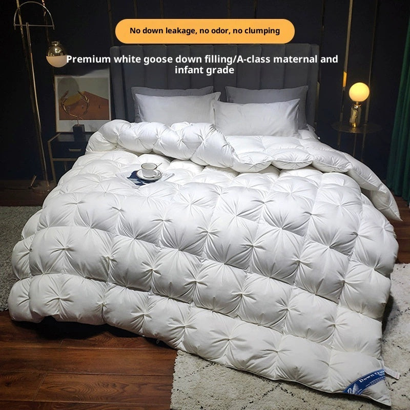 Thickened Warm Winter Duvet Insert